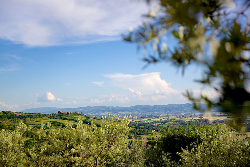 Agriturismo Le Colombe 아시시 외부 사진