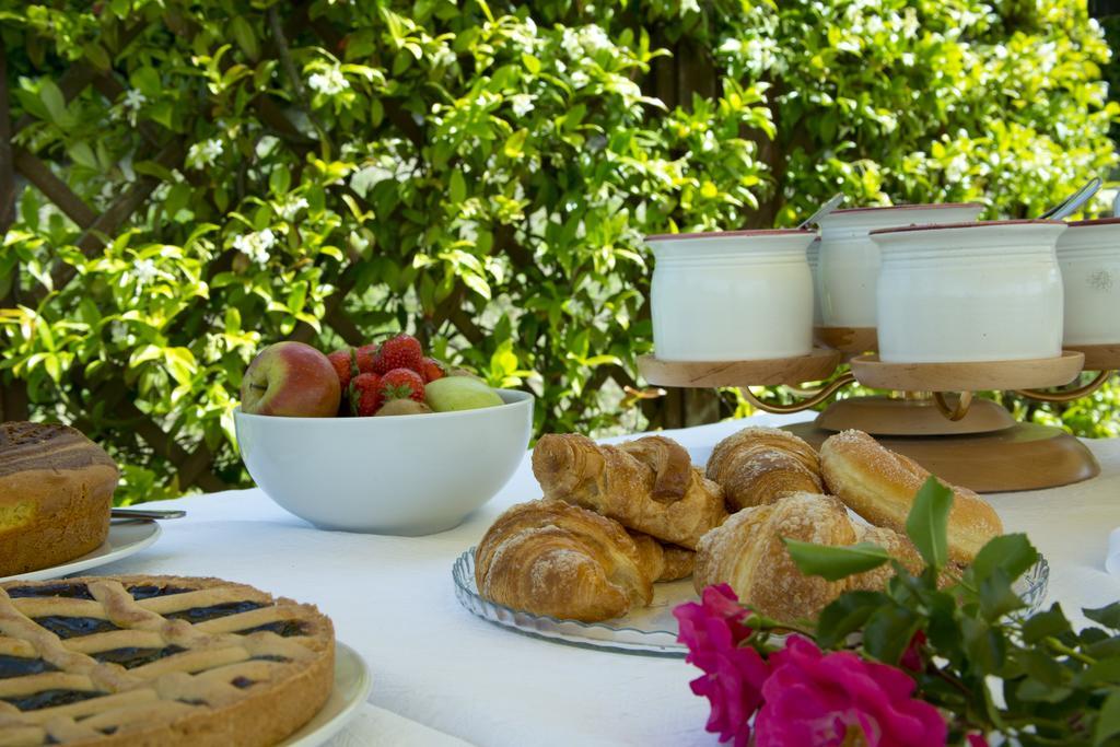 Agriturismo Le Colombe 아시시 외부 사진