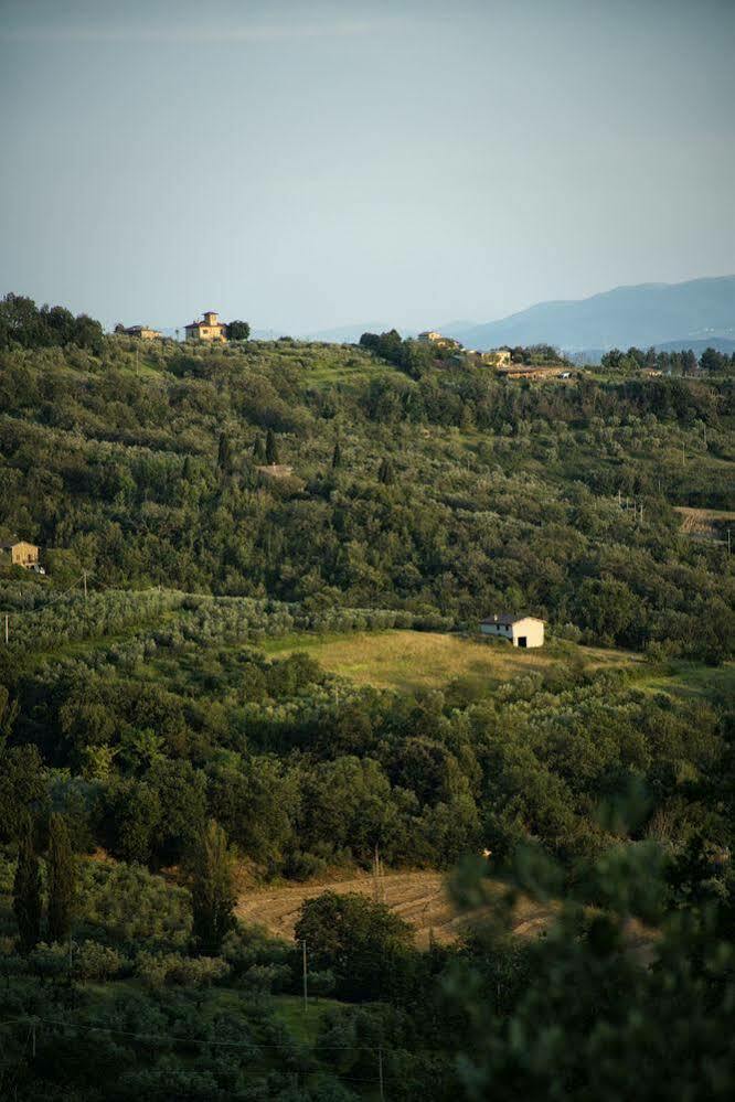 Agriturismo Le Colombe 아시시 외부 사진